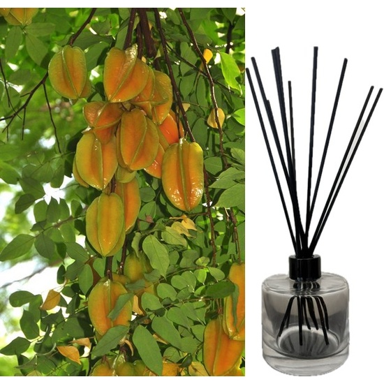 Hibiscus Starfruit - Reed Diffuser