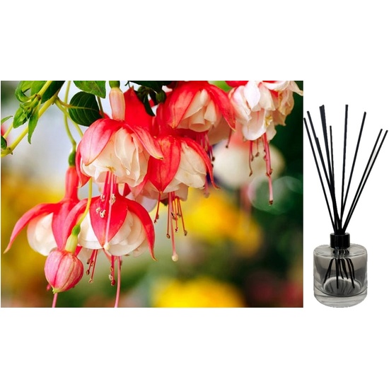 Honeysuckle Shea - Reed Diffuser