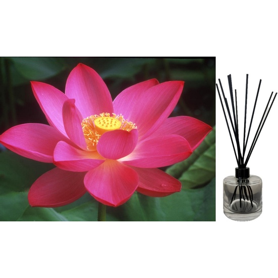 Lotus Blossom - Reed Diffuser