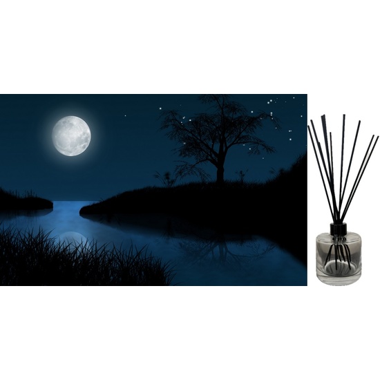 Moonlit Night - Reed Diffuser