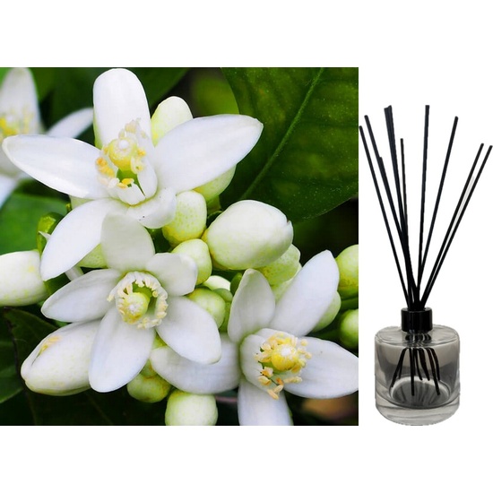 Neroli & White Musk - Reed Diffuser