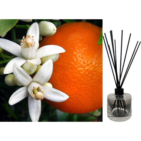 Orange Flower & Coconut - Reed Diffuser