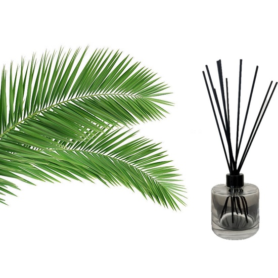 Palm Leaf & Jasmine - Reed Diffuser