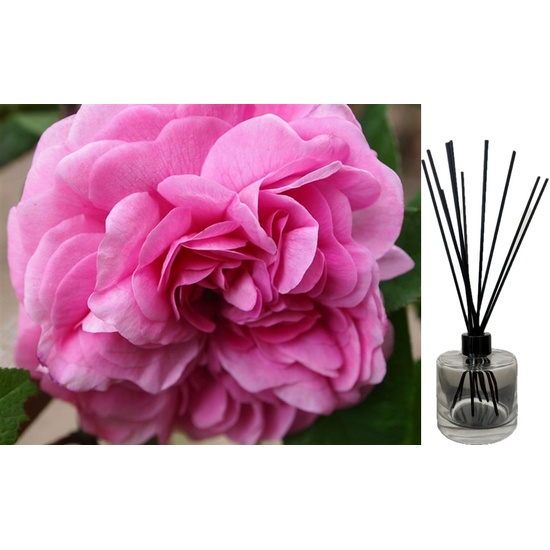 Persian Rose - Reed Diffuser