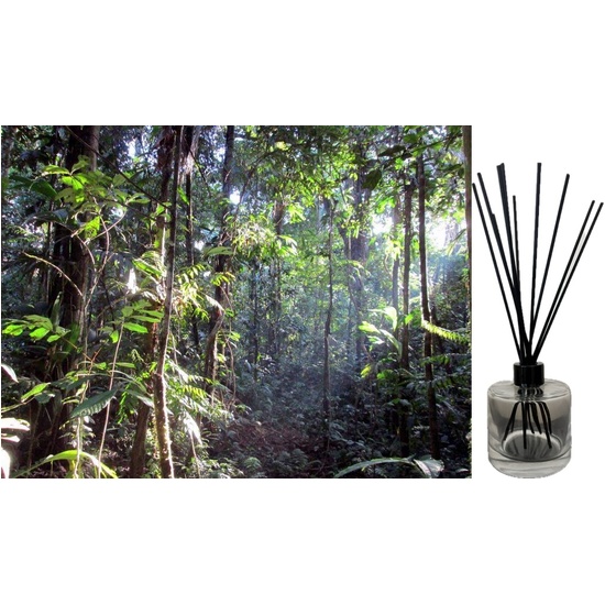 Rainforest - Reed Diffuser