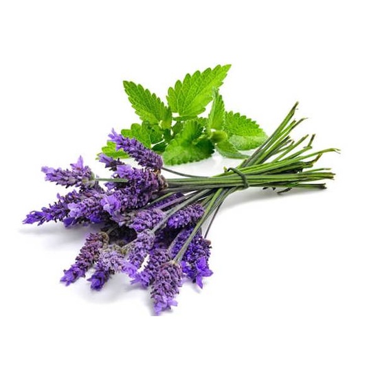 Lavender & Mint - Fragrance Oil (250ml)