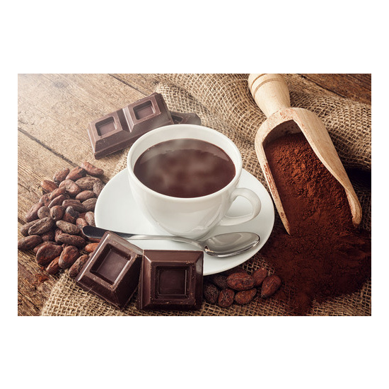 Cocoa Therapy - Fragrance Oil (55ml)