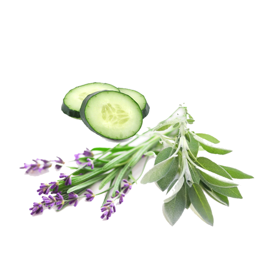 Lavender Cucumber Sage - Fragrance Oil (55ml)