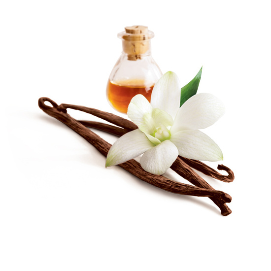 Vanilla - Fragrance Oil (55ml)