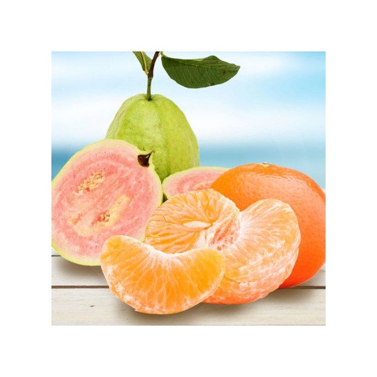Zesty Tangerine Guava - Fragrance Oil (250ml)
