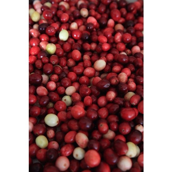 Cranberries & White Musk - Fragrance Oil (250ml)