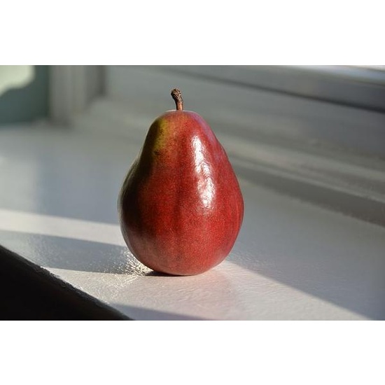 Pepperberry Pear - Fragrance Oil (250ml)
