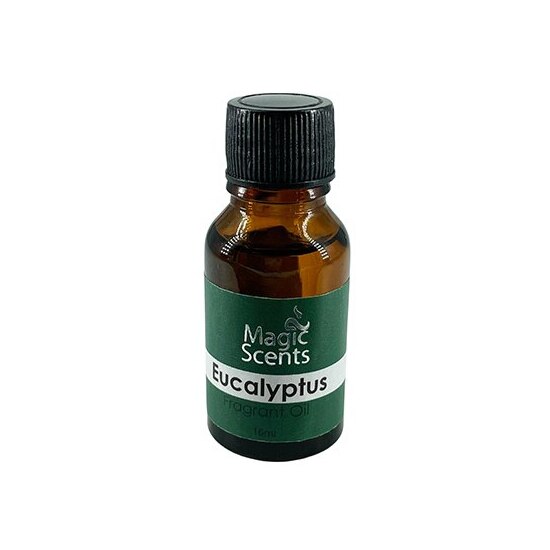 Eucalyptus - Fragrant Oil