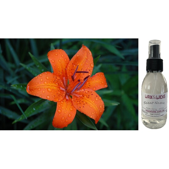 Tiger Lily & Patchouli - Room Spray