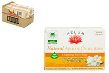 Apricot Osmanthus - Natural Soap Bar