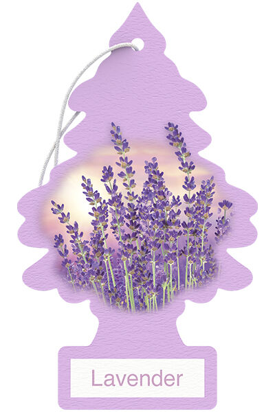 Lavender - Car Air Freshener