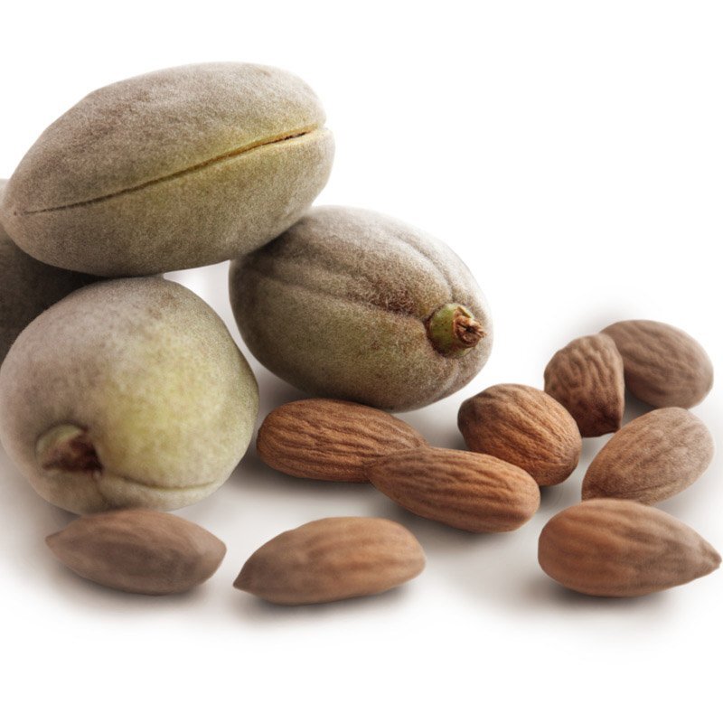Sweet Almond - Carrier Oil