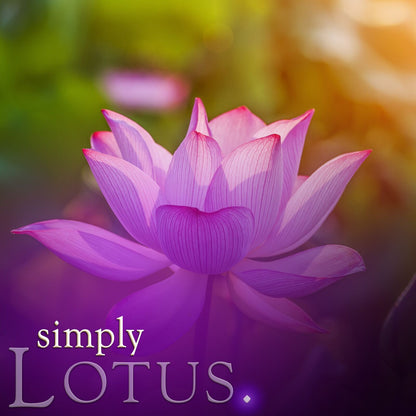 Lotus - Reed Diffuser Refill