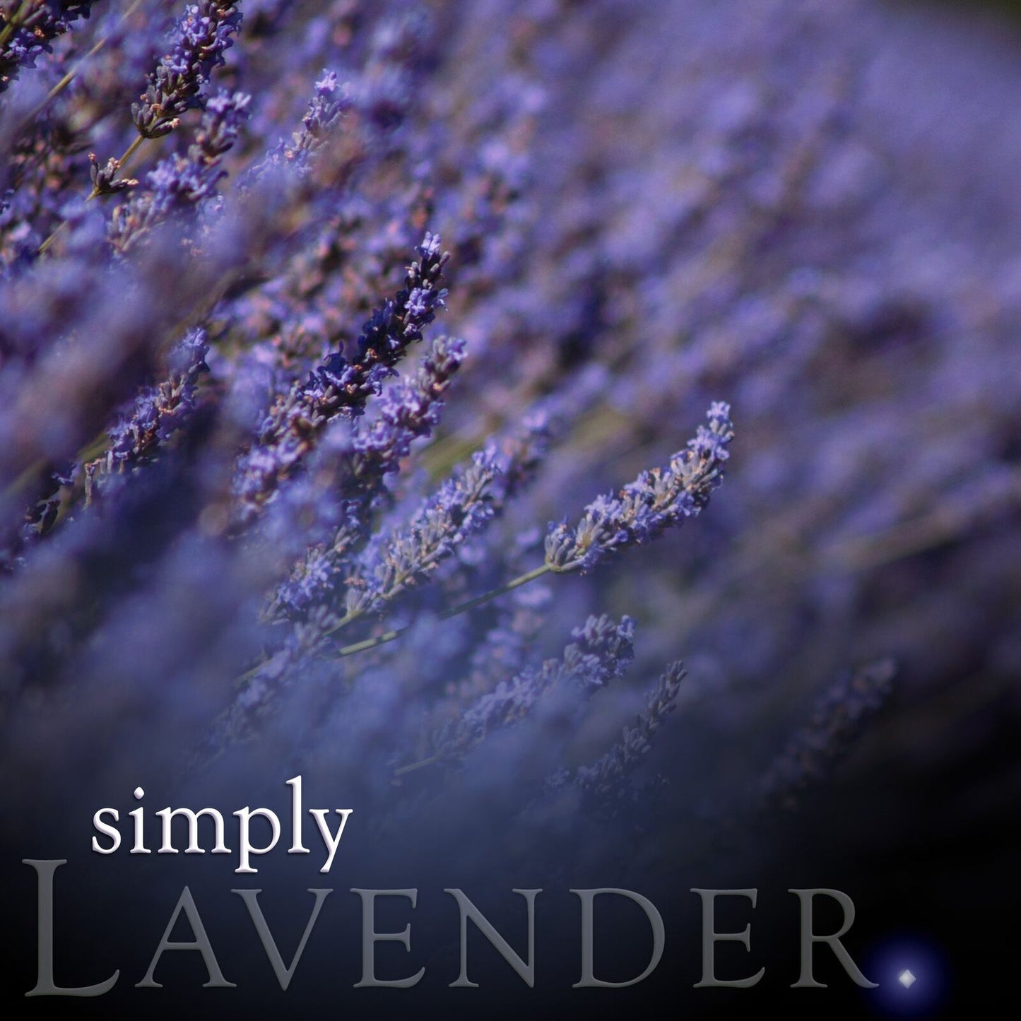 Lavender - Reed Diffuser Refill