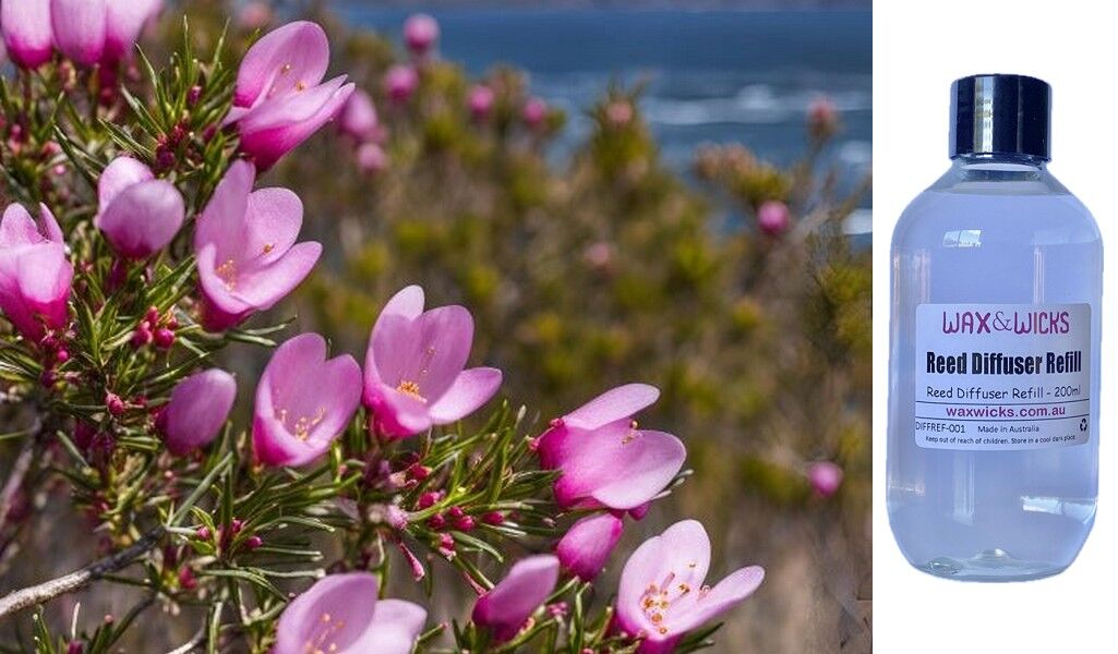Boronia in Bloom - Reed Diffuser Refill