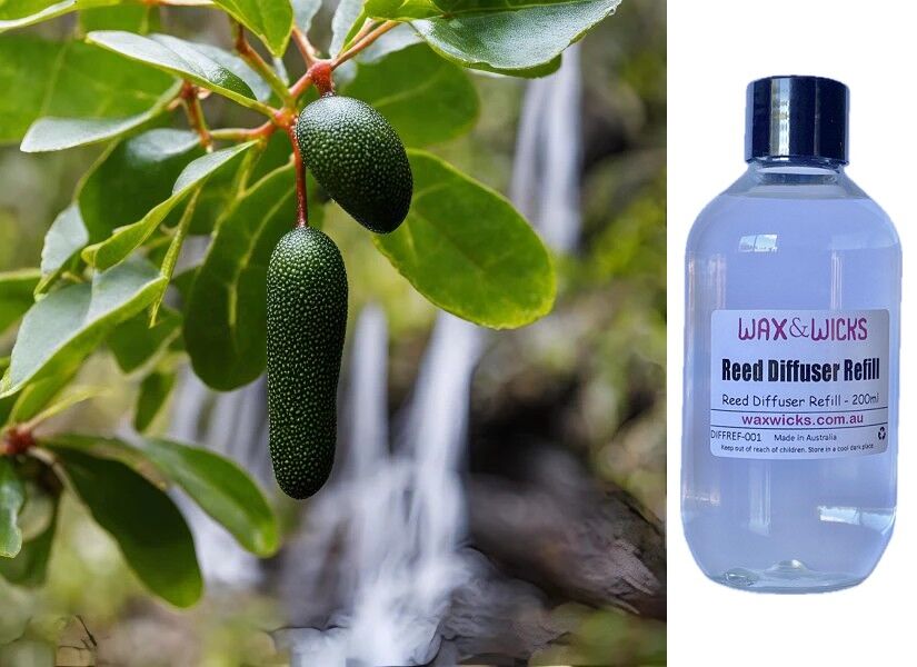 Byron Bay Lime - Reed Diffuser Refill