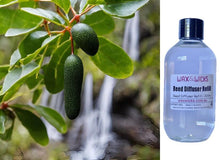Byron Bay Lime - Reed Diffuser Refill