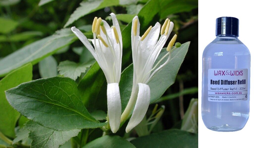Japanese Honeysuckle - Reed Diffuser Refill