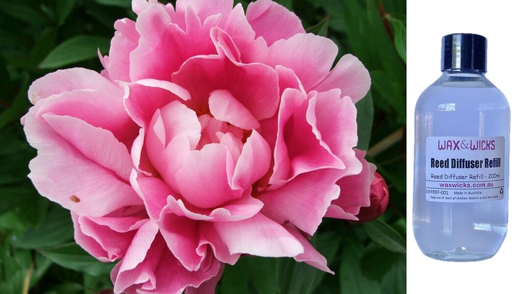 Pink Peony - Reed Diffuser Refill