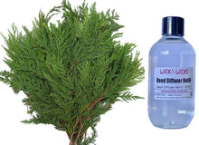 Christmas Cedar - Reed Diffuser Refill
