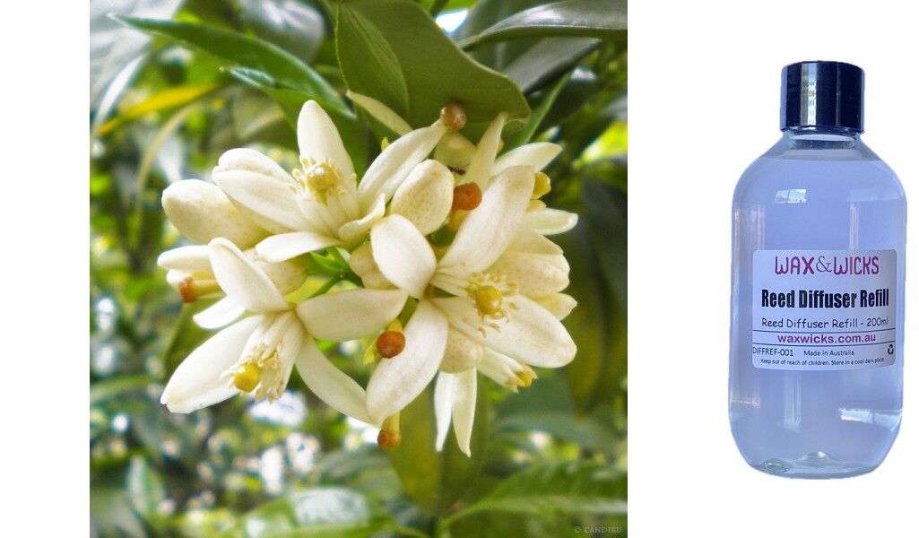 Neroli & Ylang Ylang - Reed Diffuser Refill
