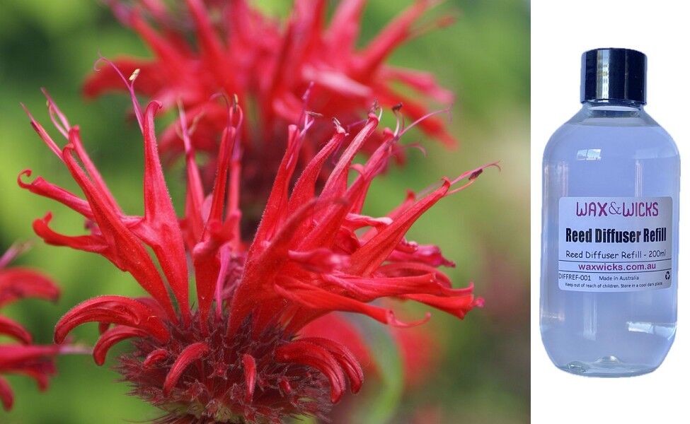 Bergamot & Banksia - Reed Diffuser Refill
