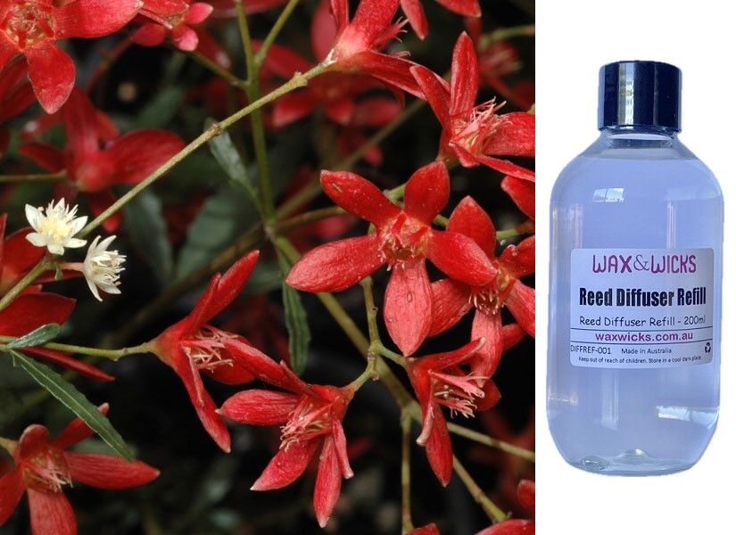 Christmas Bush - Reed Diffuser Refill