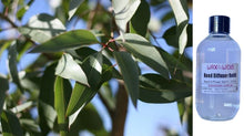 Eucalyptus Citriodora - Reed Diffuser Refill