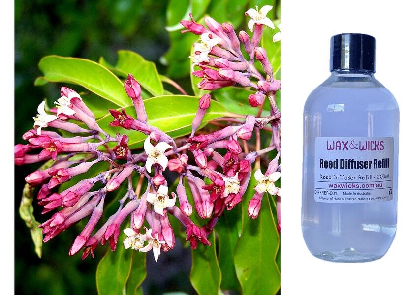 Sandalwood & Honeysuckle Leaf - Reed Diffuser Refill