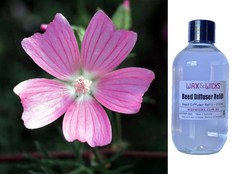 Patchouli & Musk - Reed Diffuser Refill