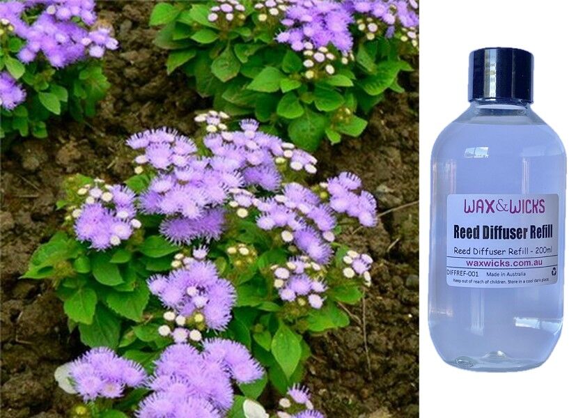 Patchouli - Reed Diffuser Refill