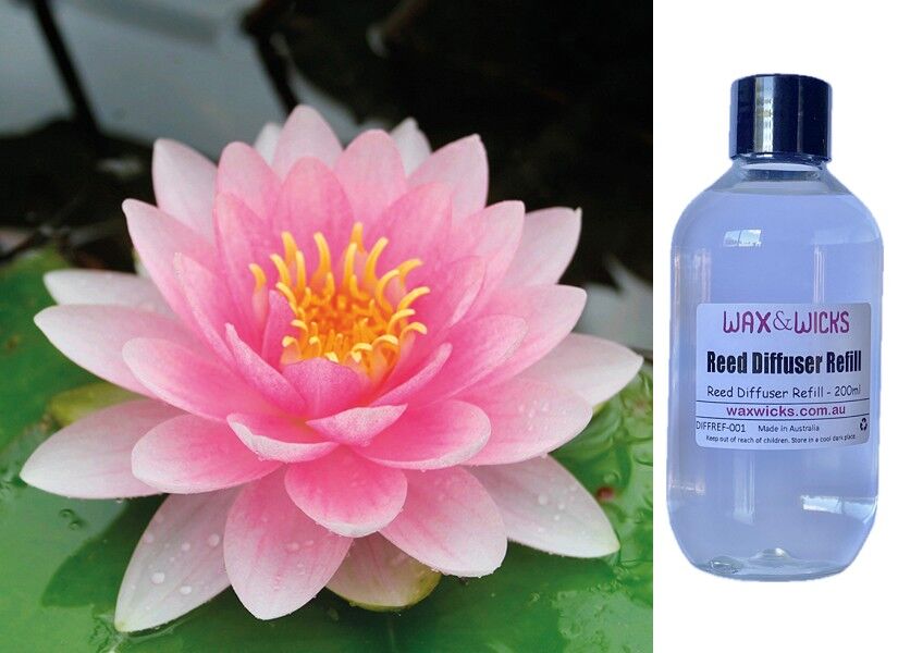 Sea Mist & Waterlily - Reed Diffuser Refill