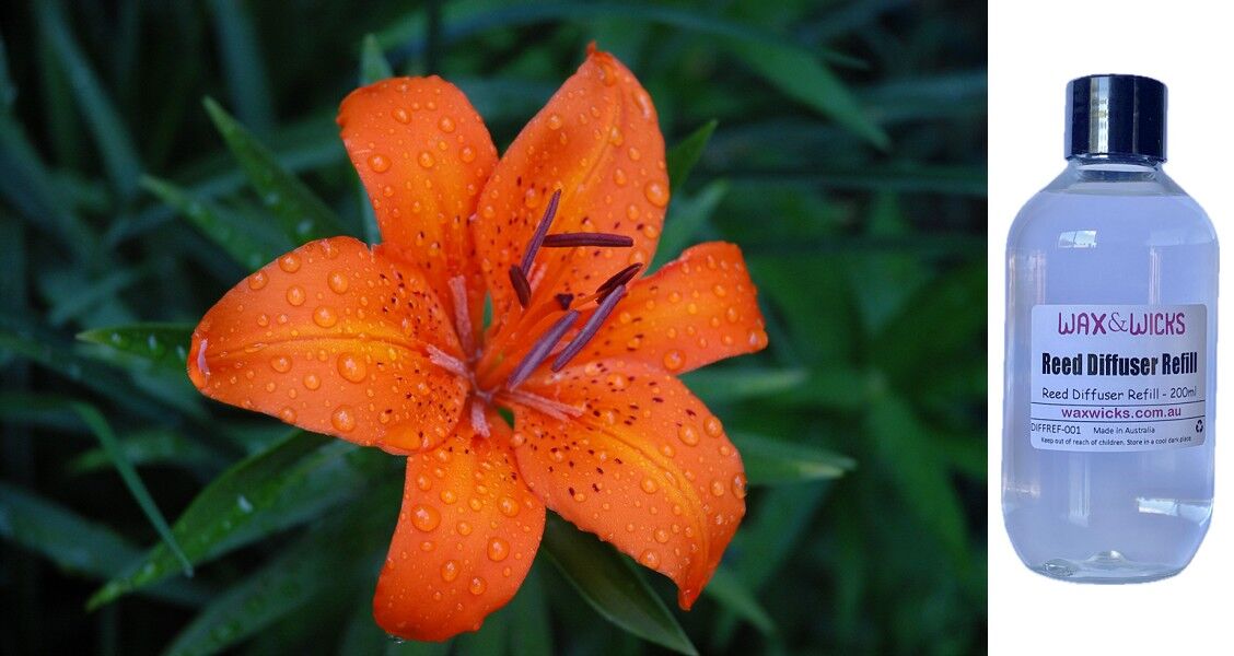 Tiger Lily & Patchouli - Reed Diffuser Refill