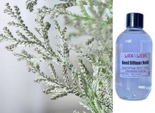 Frosted Cedar - Reed Diffuser Refill