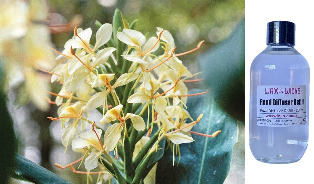 Ginger Lily - Reed Diffuser Refill