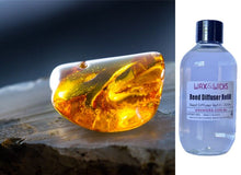 Oriental Amber - Reed Diffuser Refill