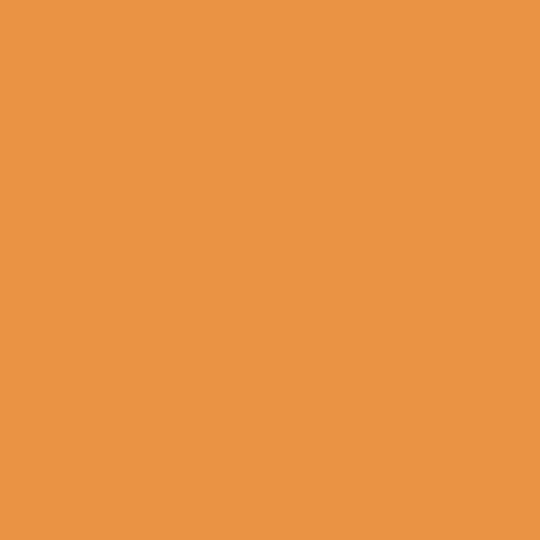 Autumn Orange - Dye Chips (x10)