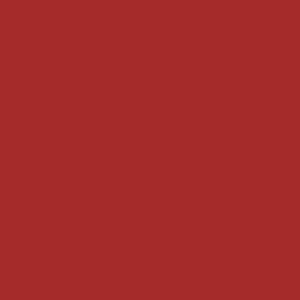 Brown - Dye Chips (x10)
