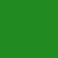 Forest Green - Dye Chips (x10)