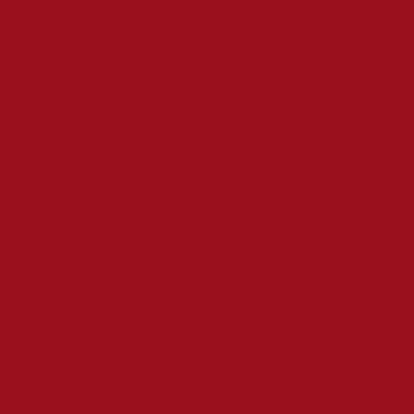 Ruby Red - Dye Chips (x10)
