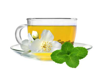 White Jasmine & Mint - Fragrance Oil
