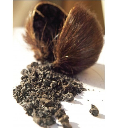 Sensual Musk - Fragrance Oil