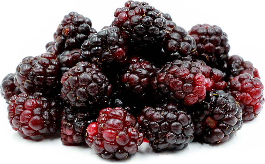 Boysenberry - Fragrance Oil