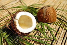Coconut & Lemongrass - Fragrance Oil