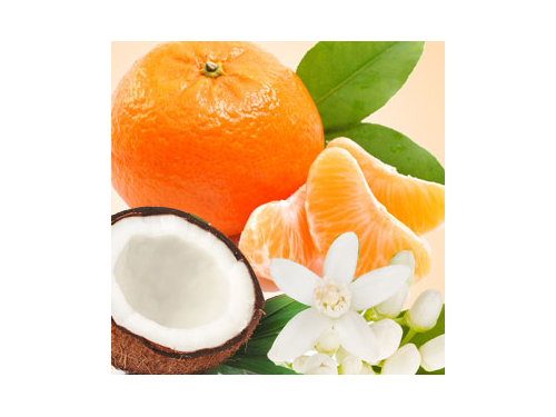 Coconut & Mandarin - Fragrance Oil